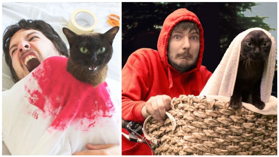 Kočka, kočka jede!